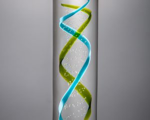 DNA Helix custom award